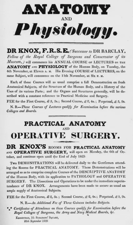 Robert Knox Robert Knox Ad